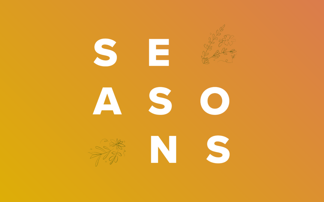 Seasons of Change blog post graphic