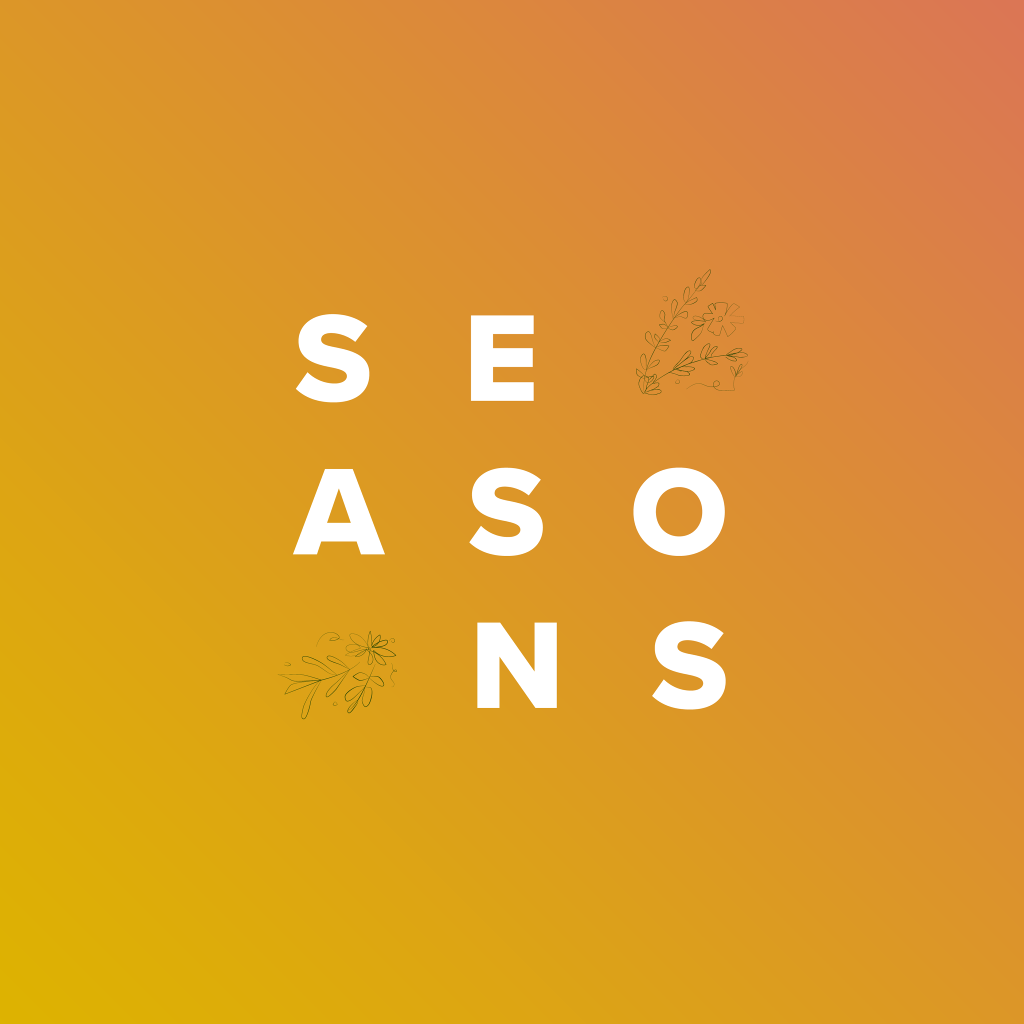 Seasons of Change blog post graphic