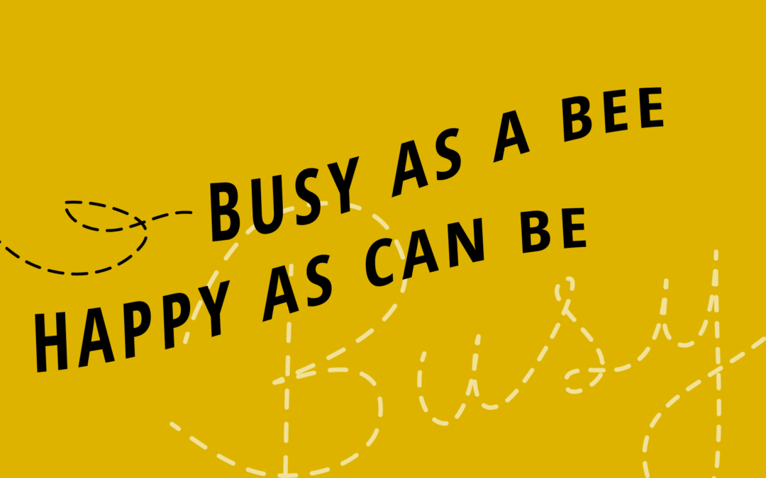 Busy Bee Featured Image | Katie Kassel, Graphic & Web Designer