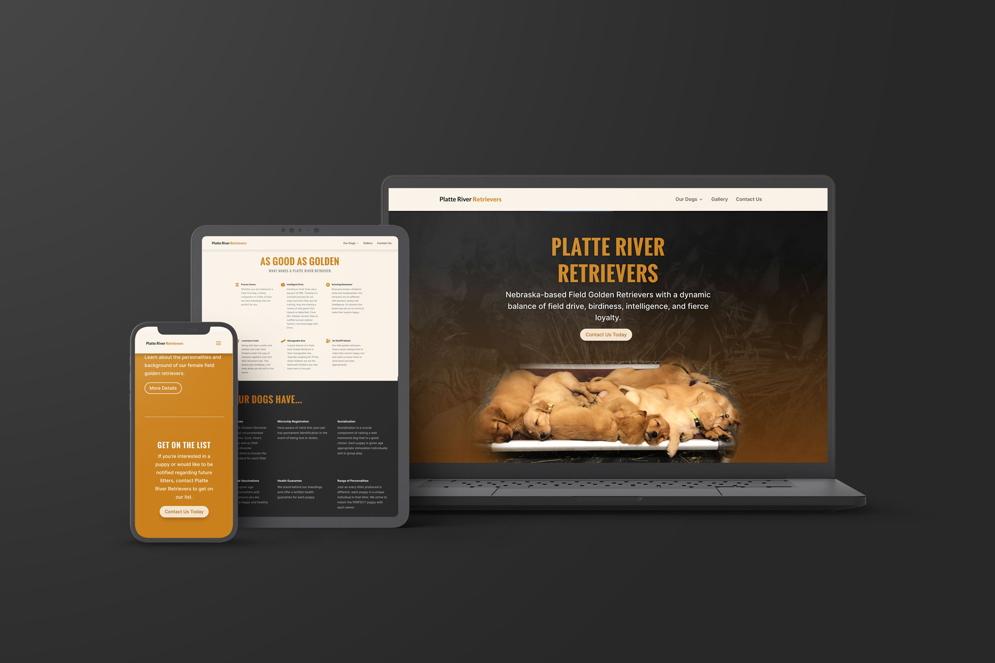 Platte River Retriever website mockups